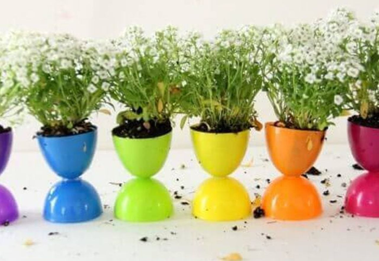 Mini Garden Display