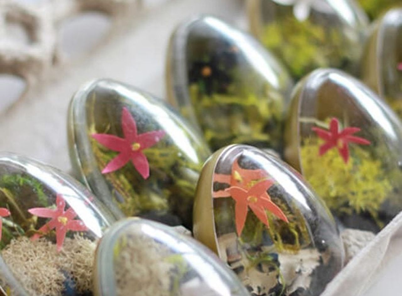 Tiny terrariums