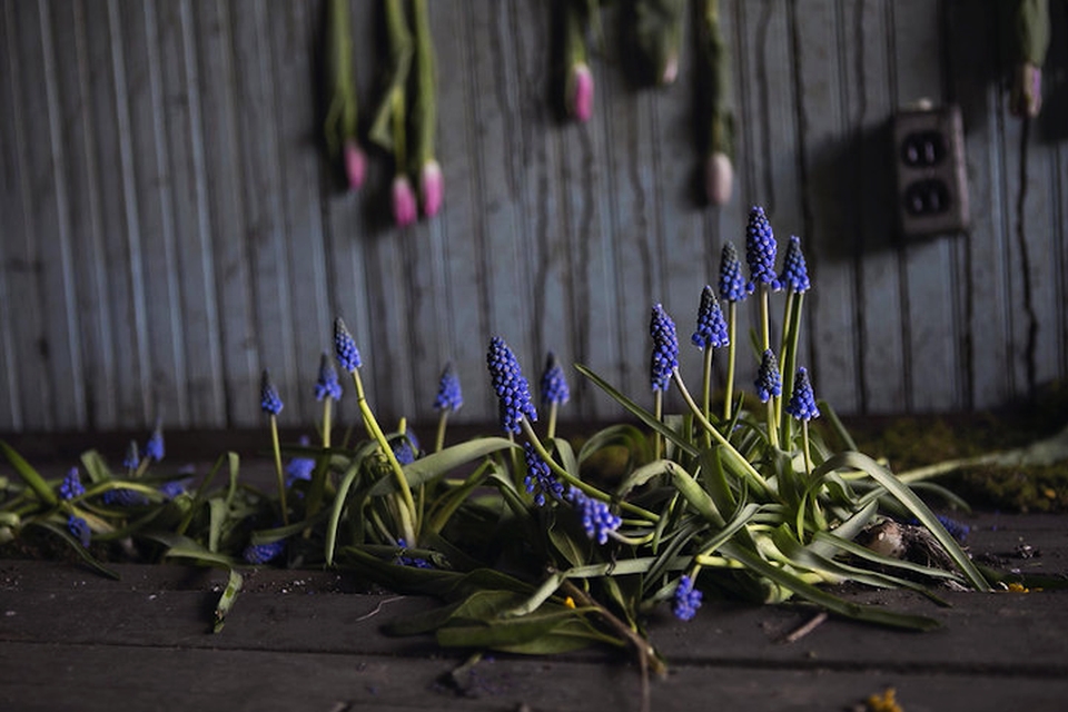 4,000 flowers adorns an abandoned house in Detroit