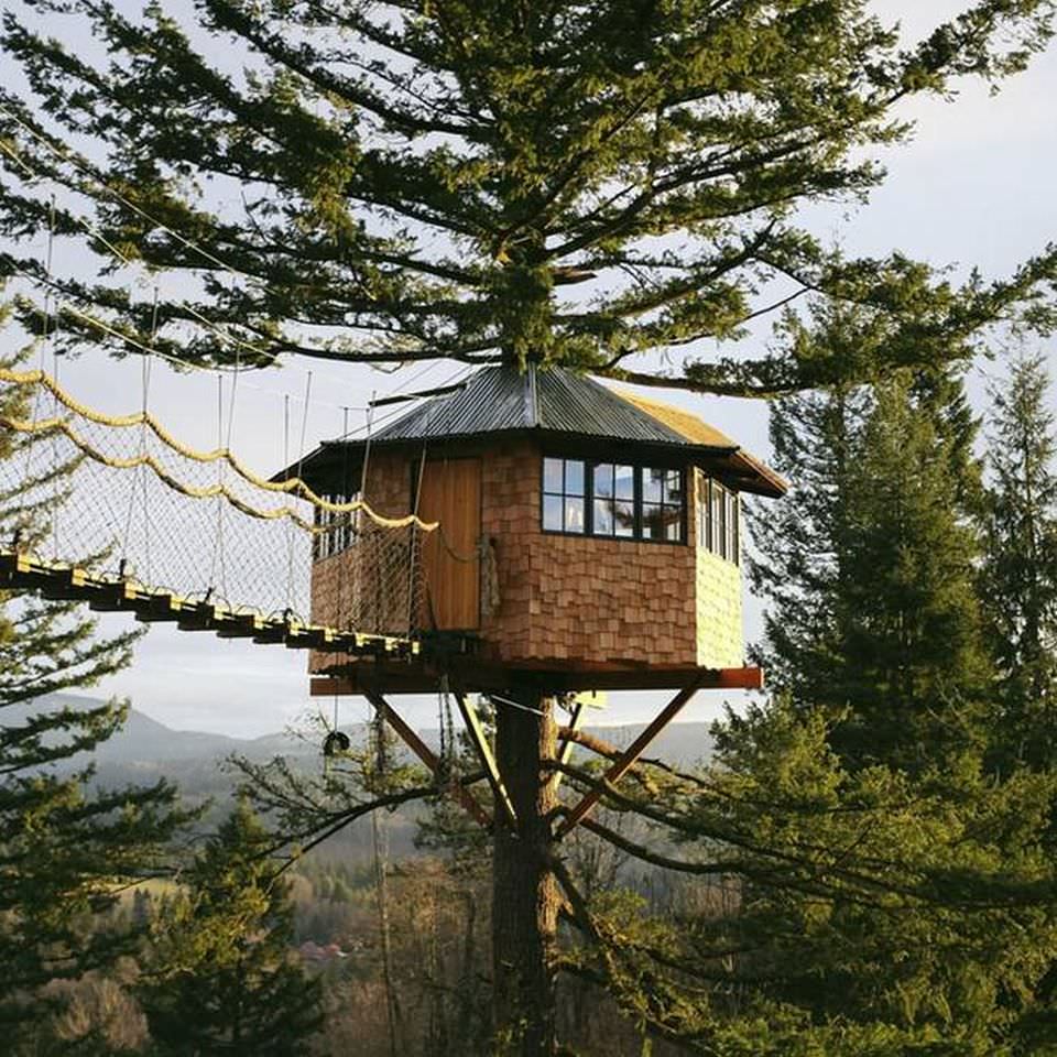 Cinder Cone Treehouse