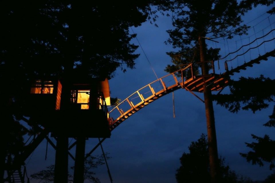 Cinder Cone Treehouse