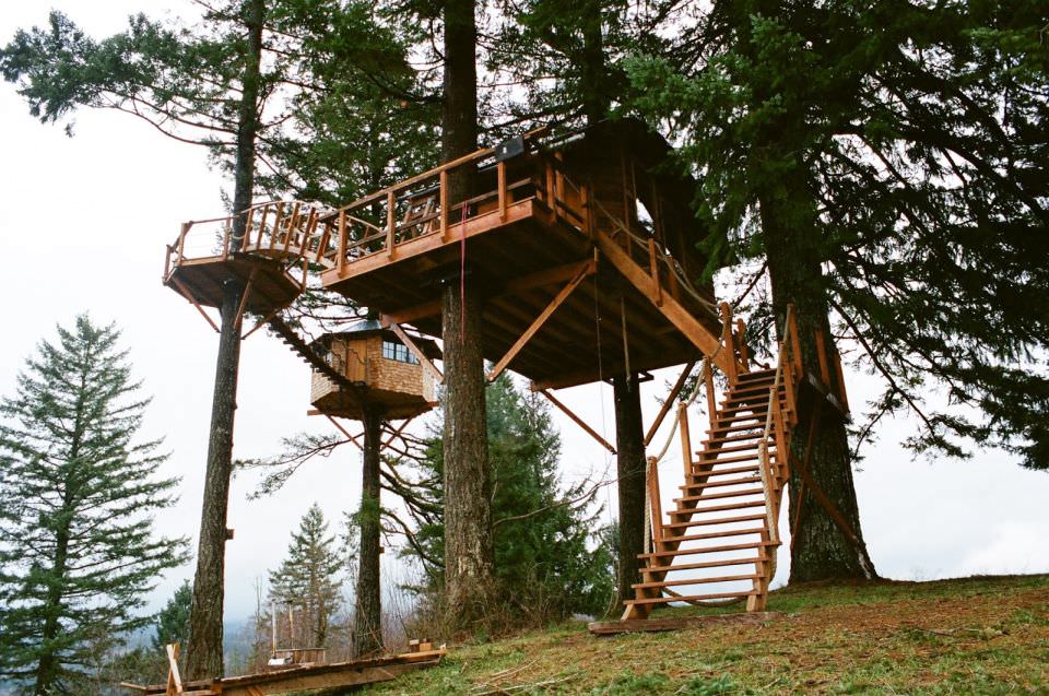 Cinder Cone Treehouse