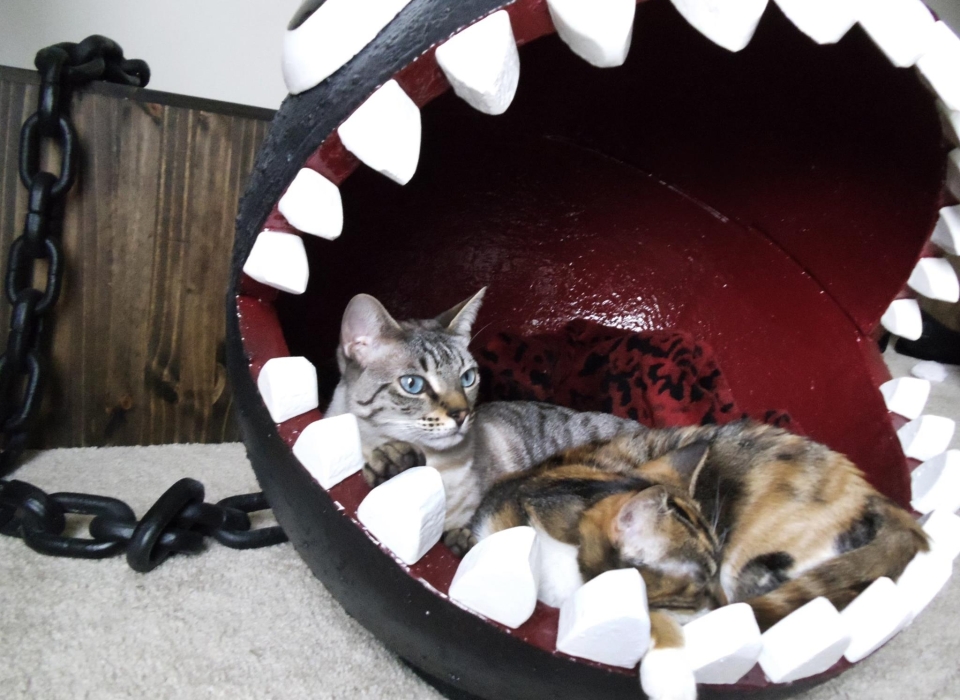 Mario’s Mario’s Chain Chomp-inspired cat bedChain Chomp-inspired cat bed