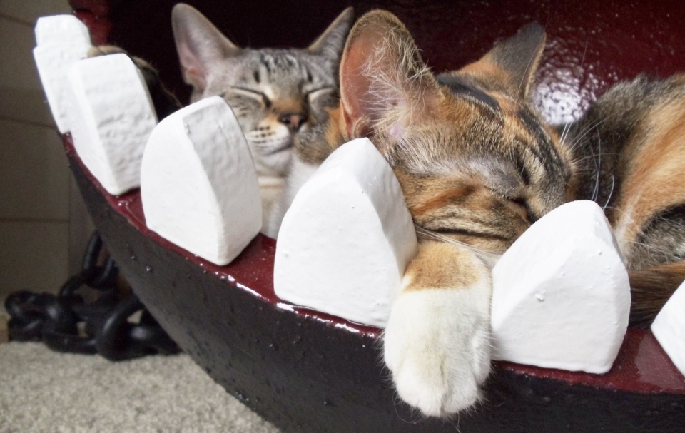 Mario’s Chain Chomp-inspired cat bed