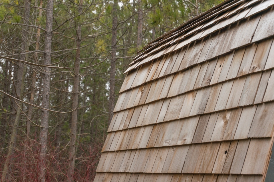 Collingwood Shepherd Hut