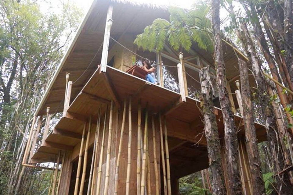 The Dreamy Tropical House is completely off-grid