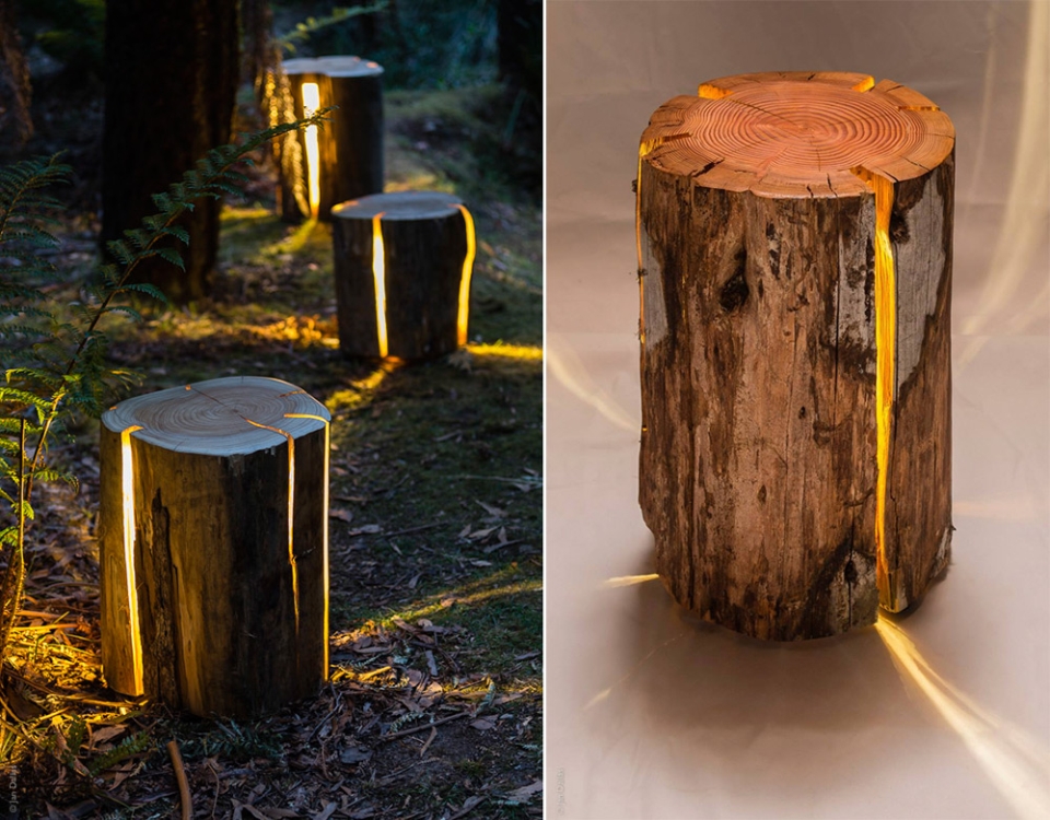 Duncan-Meerding-turns-tree-stumps-into-vessels-for-light