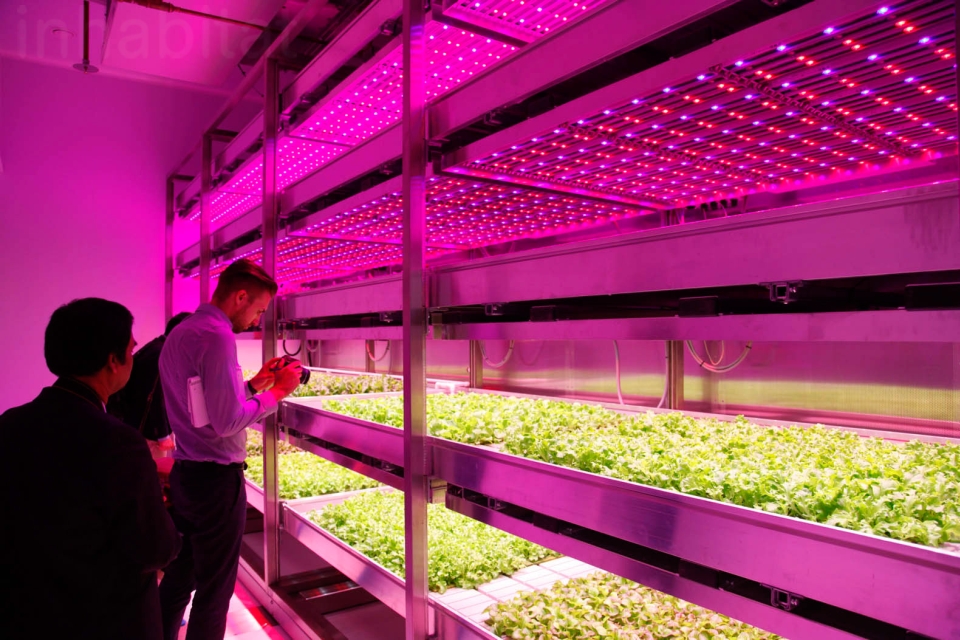 Philips GrowWise City