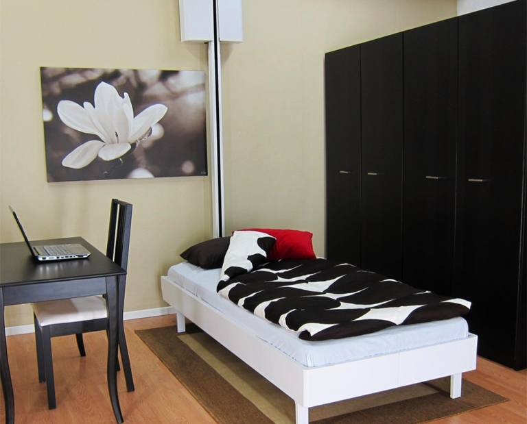 Bedaway Retractable Ceiling Bed is Ideal for Cramped Apartments