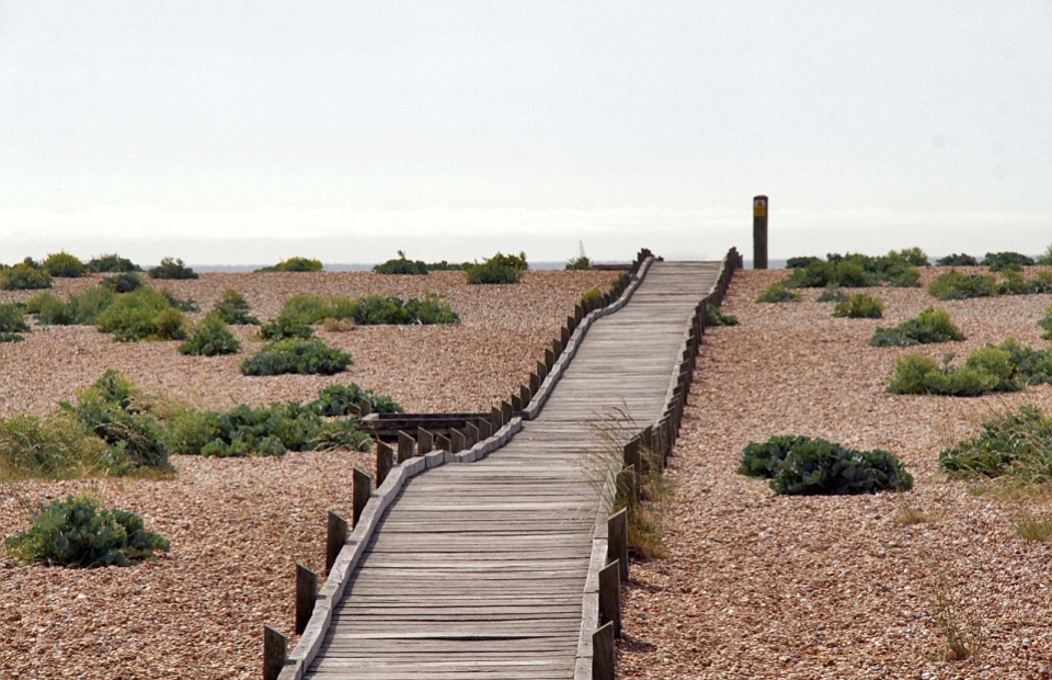 Dungeness Estate 