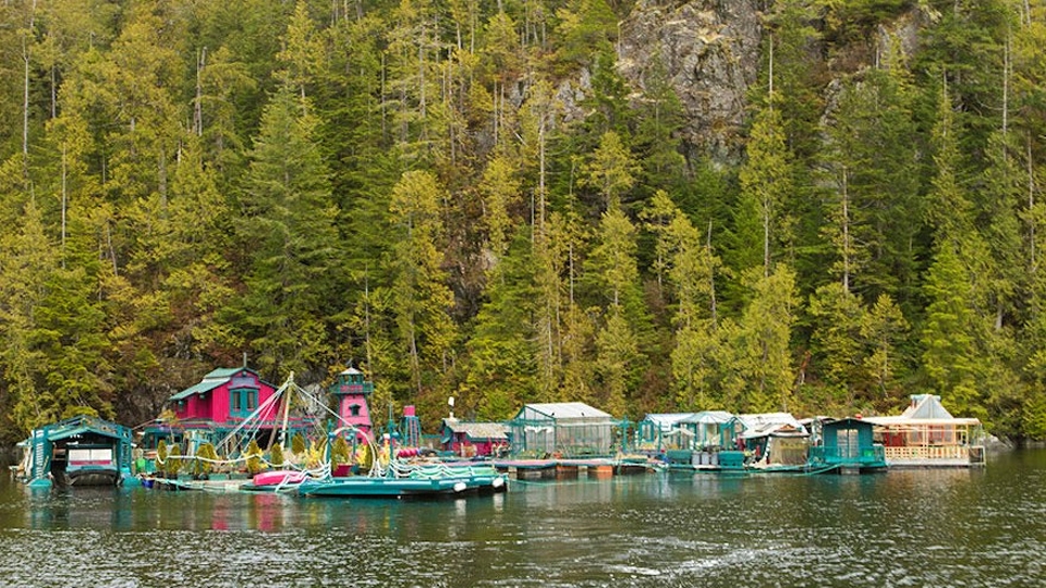 Freedom Cove by Canadian Couple