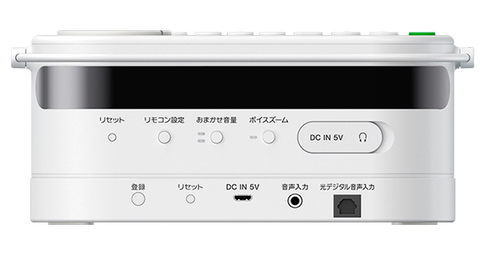 Sony SRS-LSR100