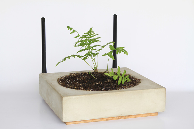 Concrete planter