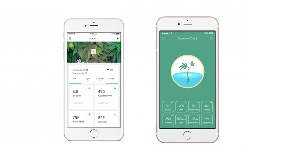 Leaf mobile application gives you real time update regarding growth of the cannabis