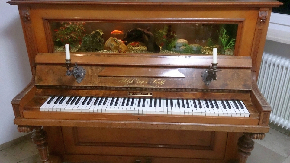 Piano Aquarium