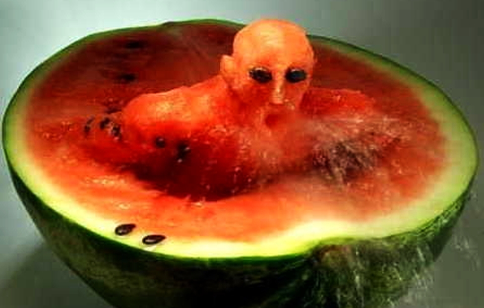 Ghostly watermelon