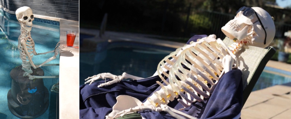 Skeletons enjoying a bloody drink by the Pool for halloween 