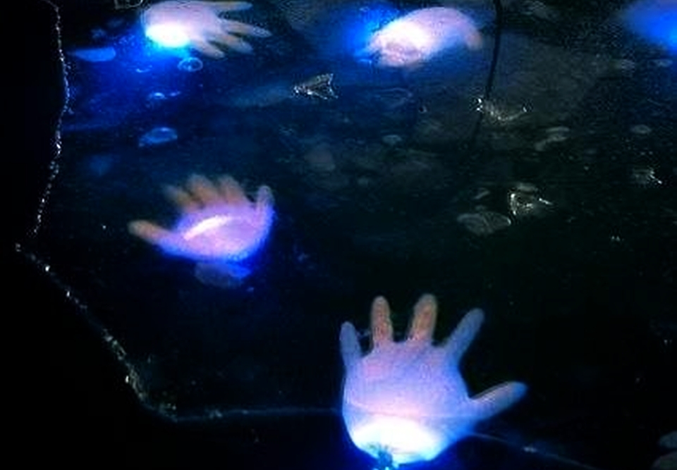 Glowing Hands for Halloween pool party