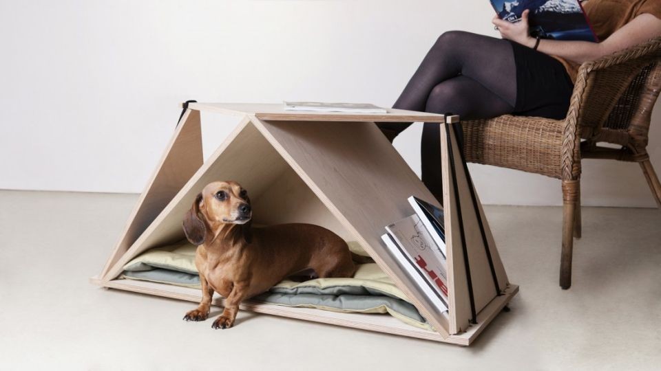 10 perfect gifts for pet-obsessed person in your life