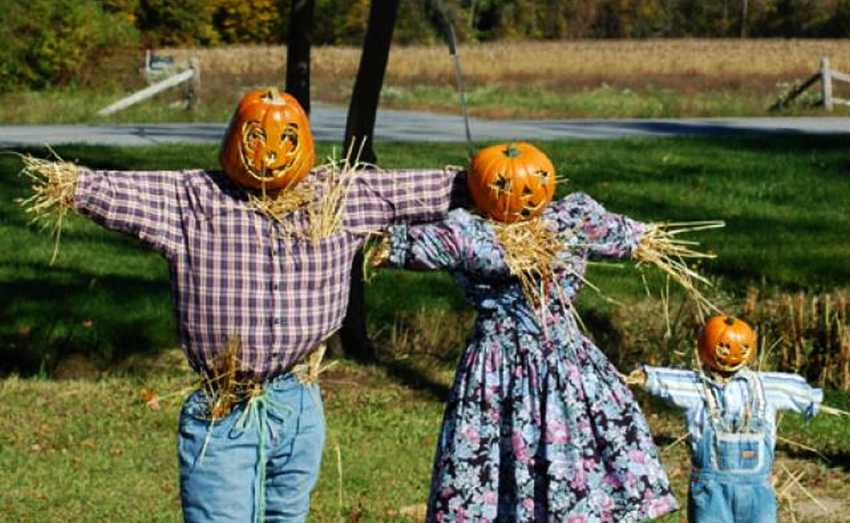 Complete Scarecrow Family