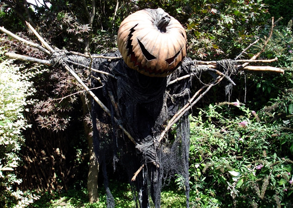 Spooky Pumpkin Head Scarecrow for Halloween fright and fun