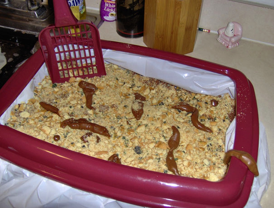 Cat litter cake