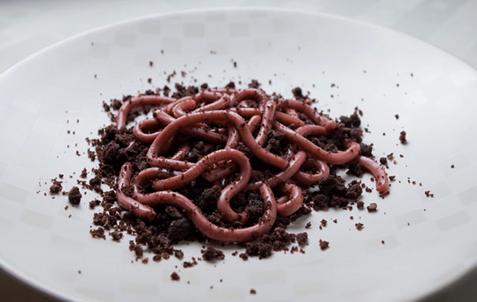 Raspberry jello worms