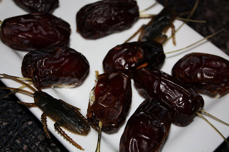 Cream cheese and walnut-stuffed roach dates Creepy Halloween Food Ideas 