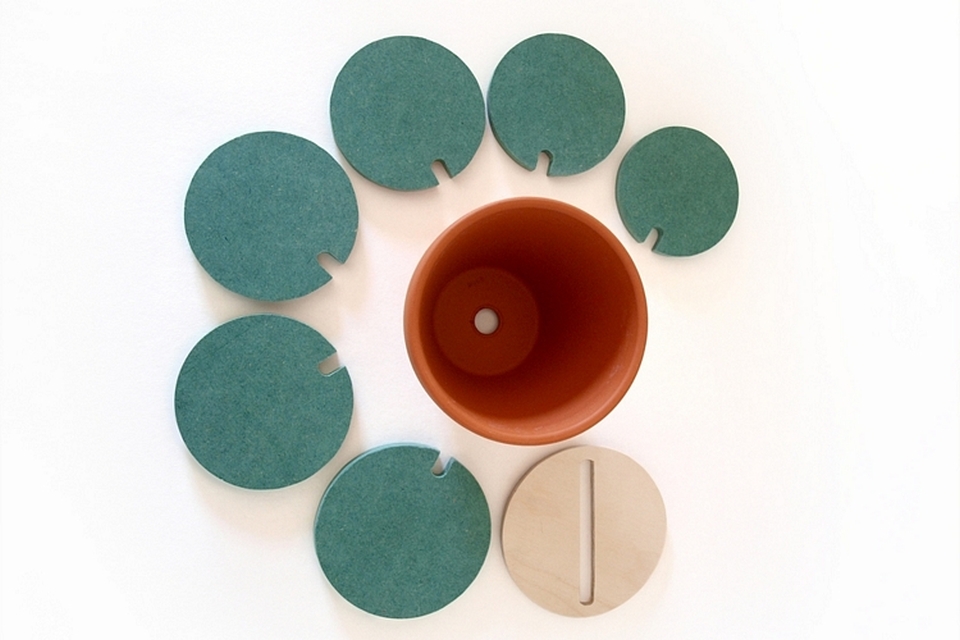 Cacti Coasters by Clive Roddy