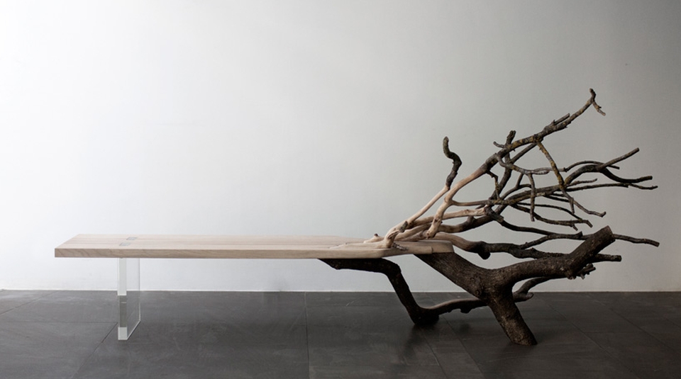 Fallen Tree Bench 