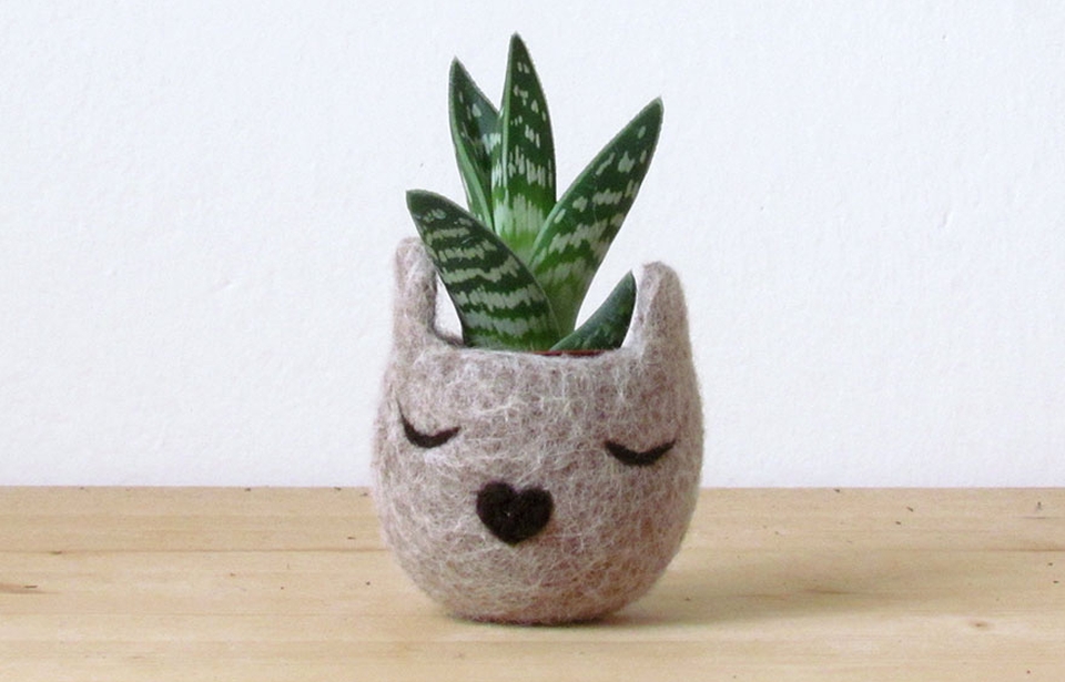 These Cat Head Succulent Planters are Really Adorable