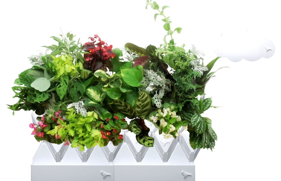 Plug & Plant Smart Garden