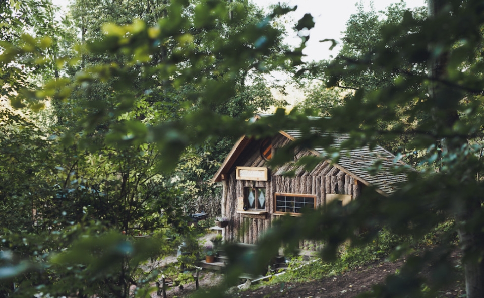 Robins Nest treehouse Hotel