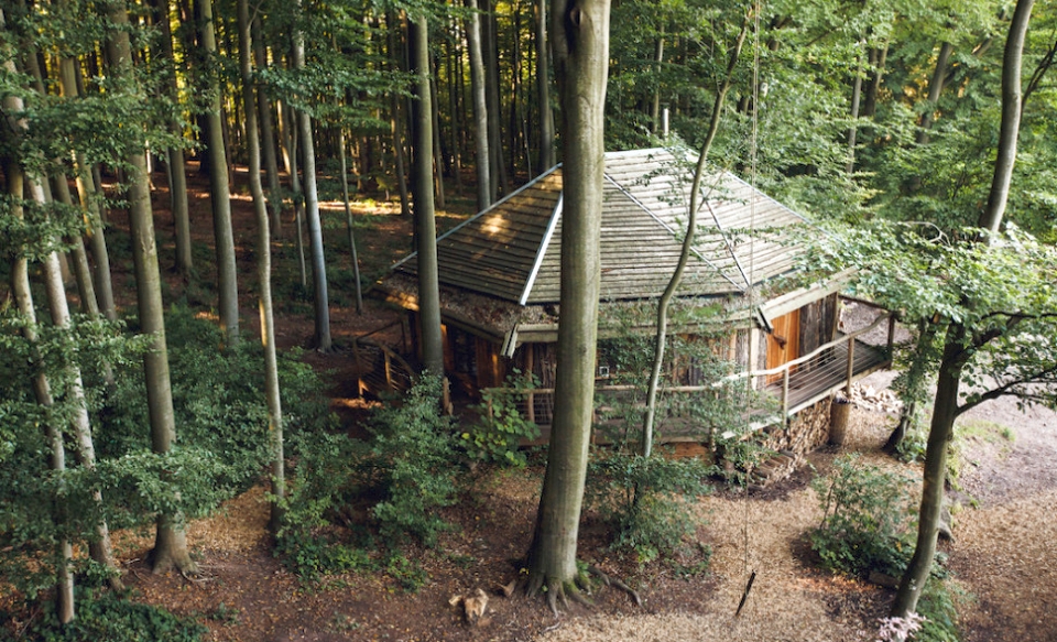 Robins Nest treehouse Hotel 8