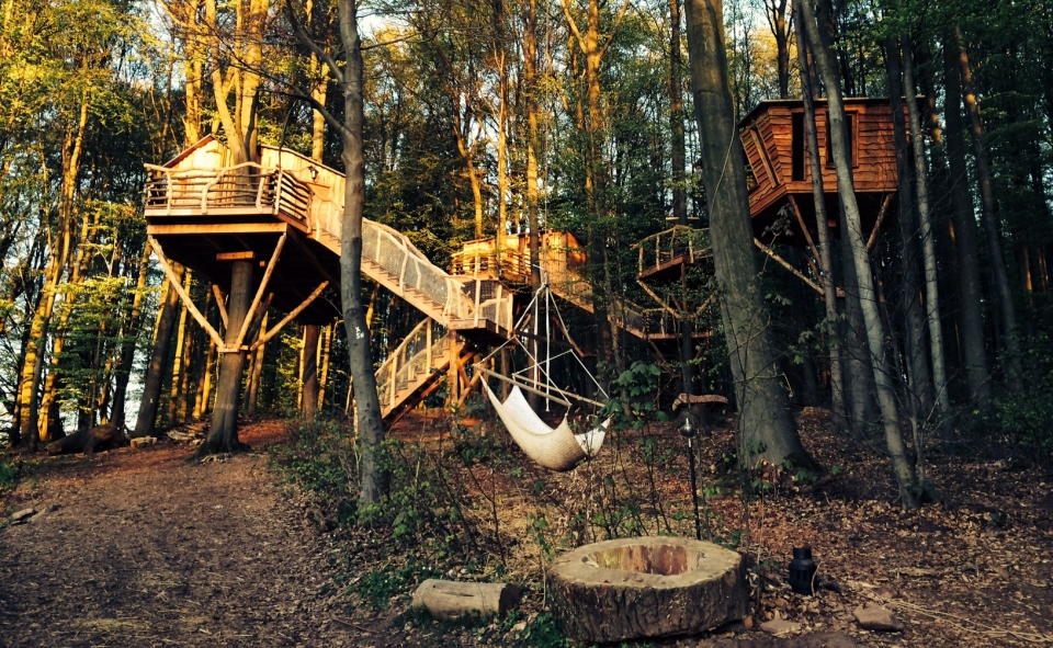 Robins Nest treehouse Hotel