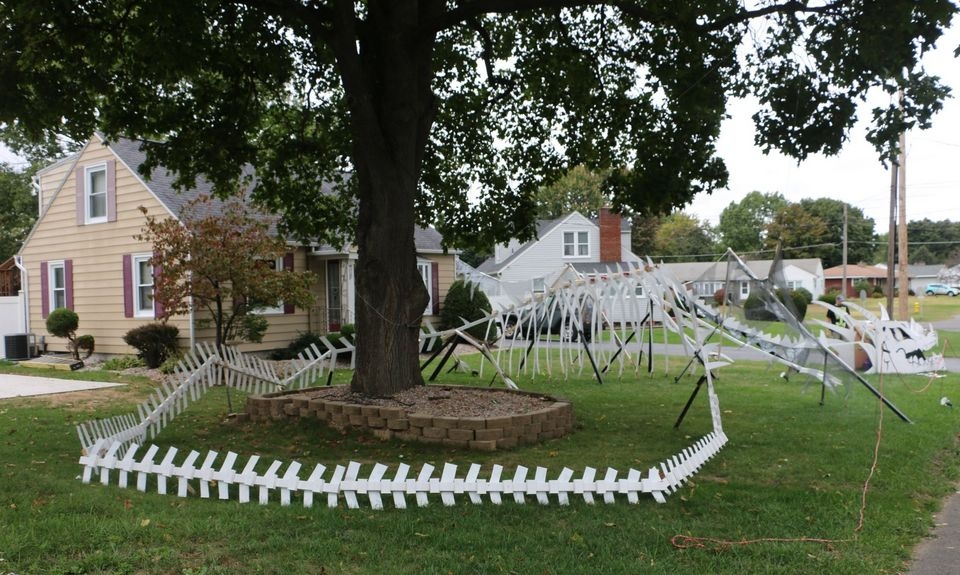 Sandra Drive dragon skeleton is perfect for Halloween 2015