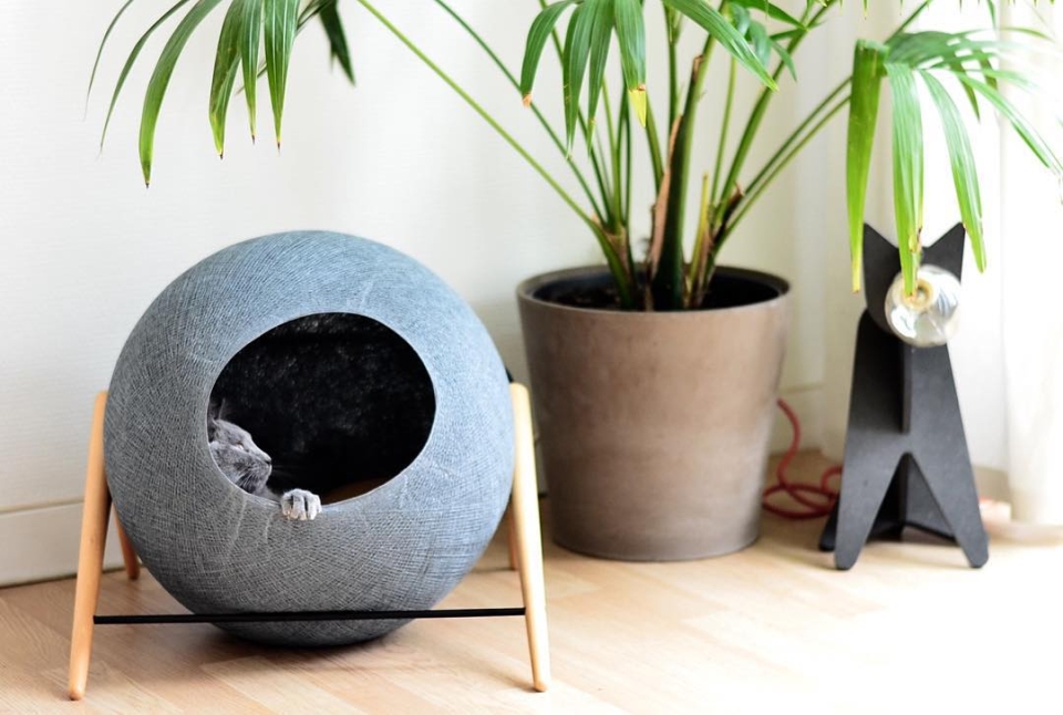 meyou paris cat ball