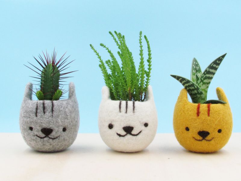 The Yarn Kitchen Cat Head Succulent Planters are Really Adorable