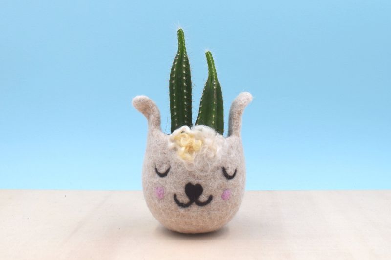 The Yarn Kitchen Succulent Planters are Really Adorable