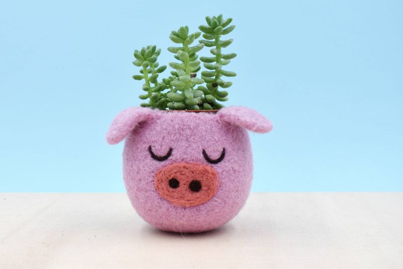 The Yarn Kitchen Succulent Planters are Really Adorable