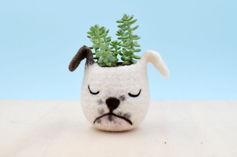 The Yarn Kitchen Animal Succulent Planters are Really Adorable