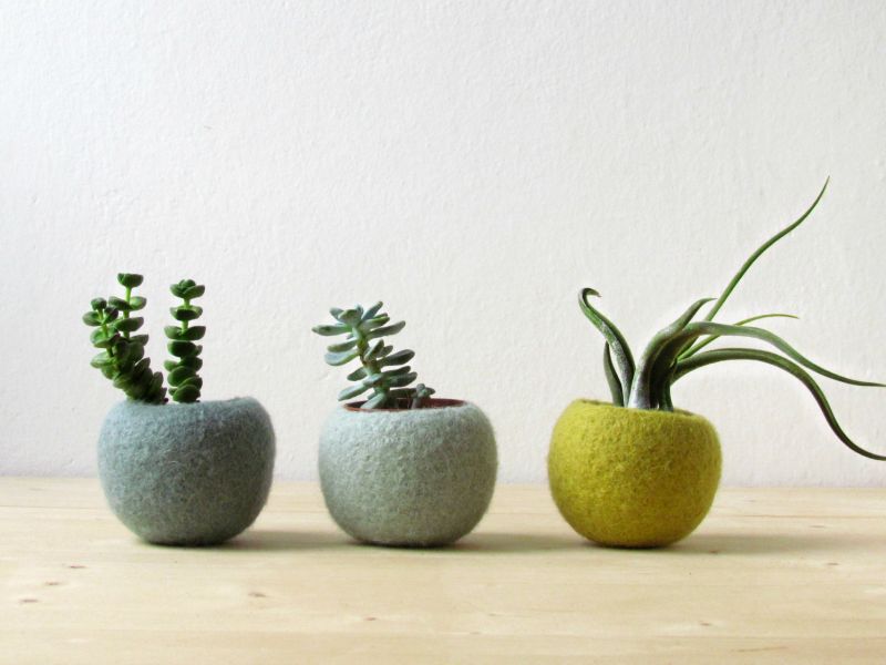 The Yarn Kitchen Succulent Planters are Really Adorable