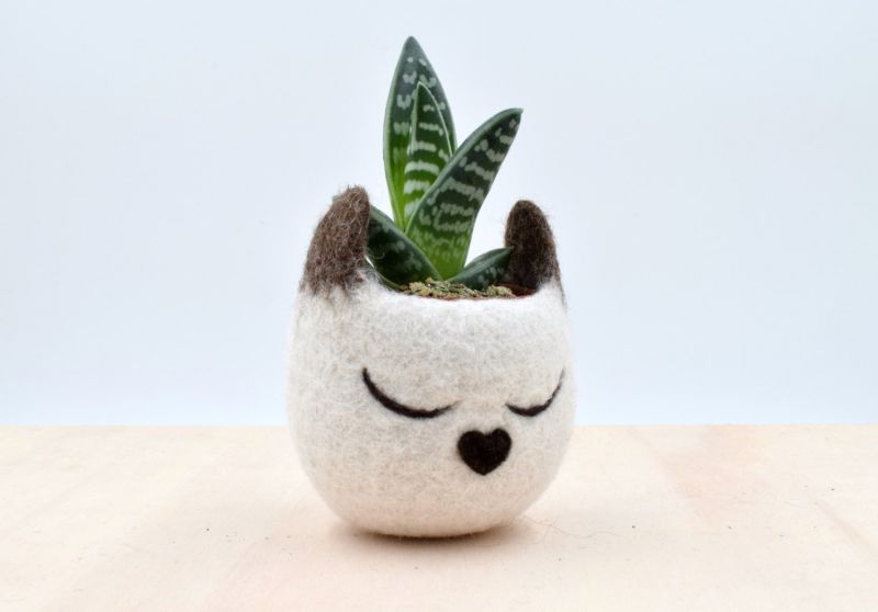 The Yarn Kitchen Succulent Planters are Really Adorable