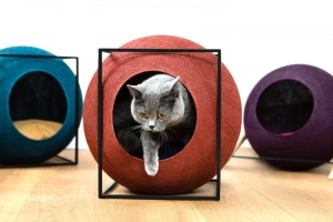 These Stylish Cat Beds by Meyou Paris will Please Both You and Your Feline