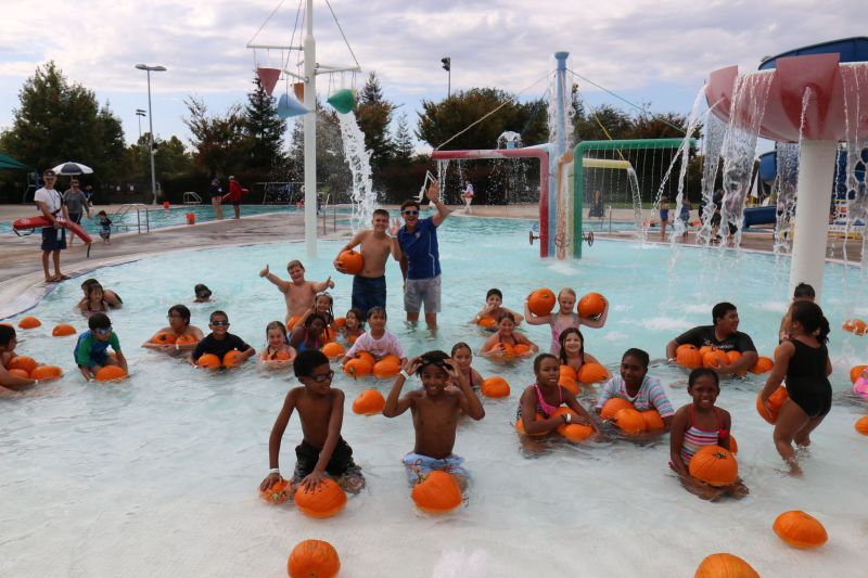 Pumpkins and humans Floating in a pool for halloween 