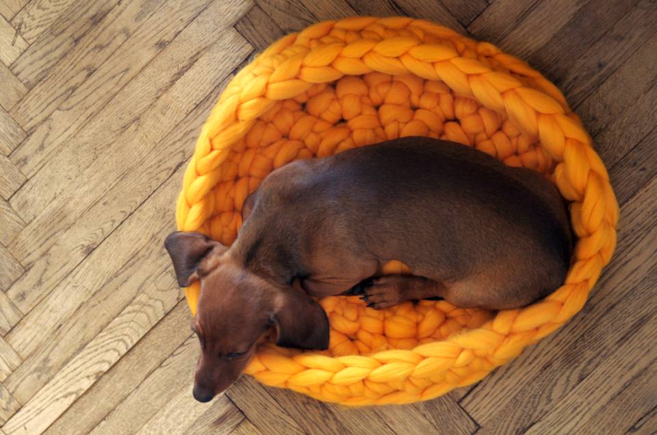 Ohhio pet bed