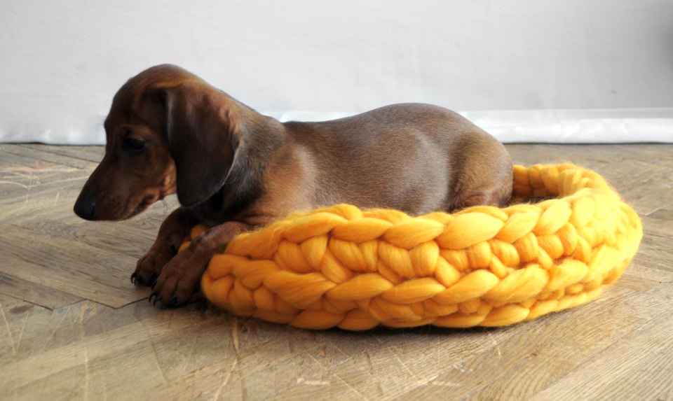 Ohhio pet bed