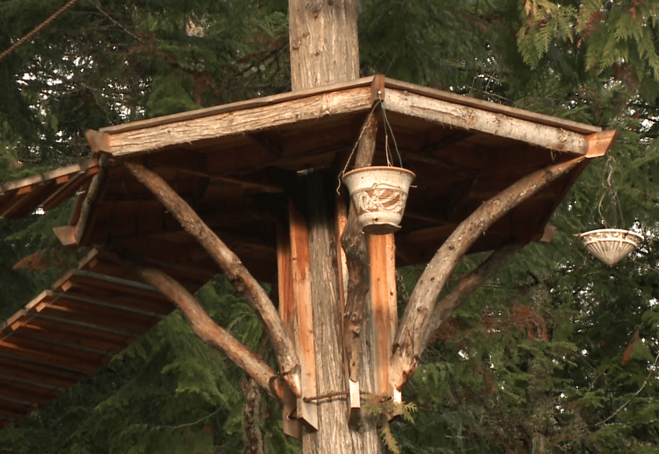 Sandpoint Treehouse by Ethan Schlussler