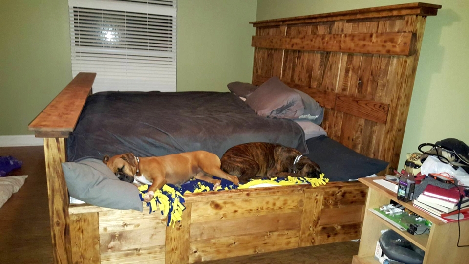 Handmade King Size Bed Designed to Lodge Your Furry Friends