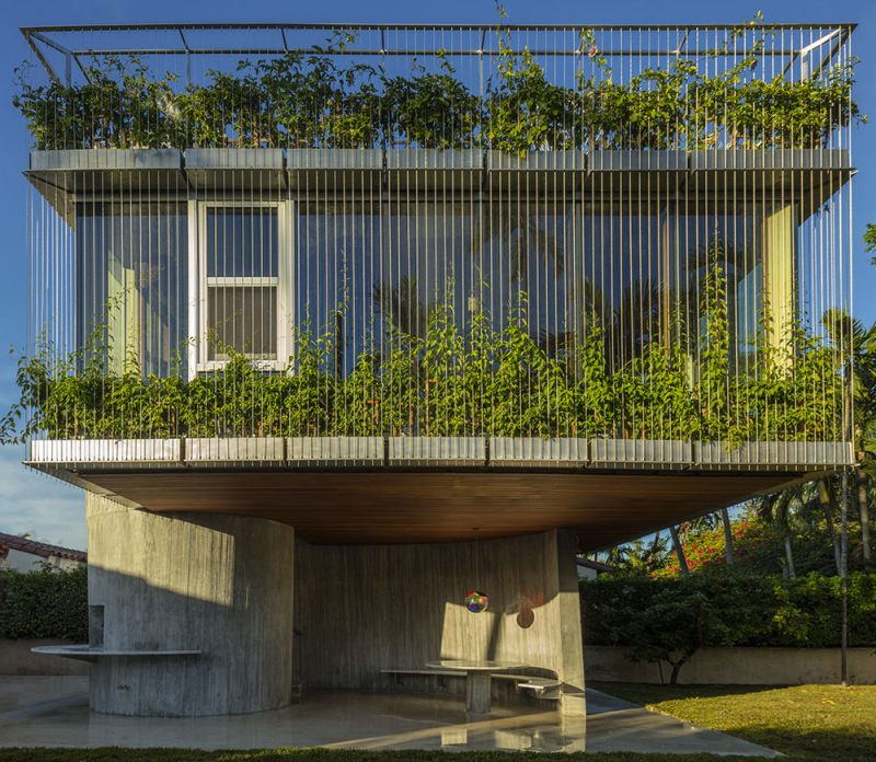 House supporting large windows covered with vines